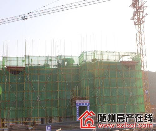 随州迎宾花园最新动态揭秘，最新进展与资讯更新