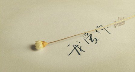 最新另类串烧麦词，友情交响与麦间趣事的温馨之旅