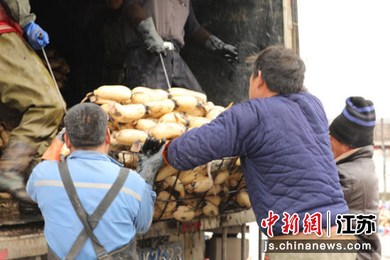 湖西农场最新事件,自然美景的探索之旅启程了!