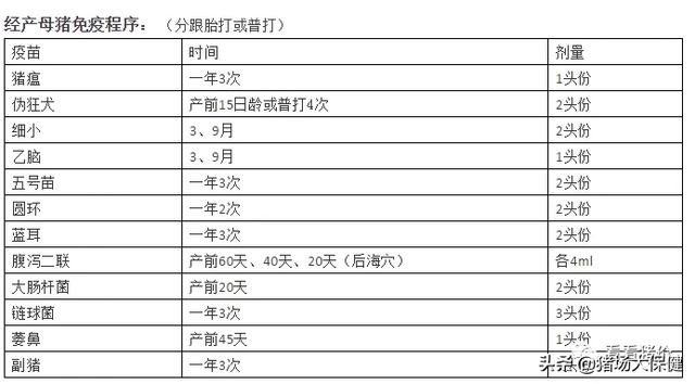 最新母猪免疫程序表详解🌟