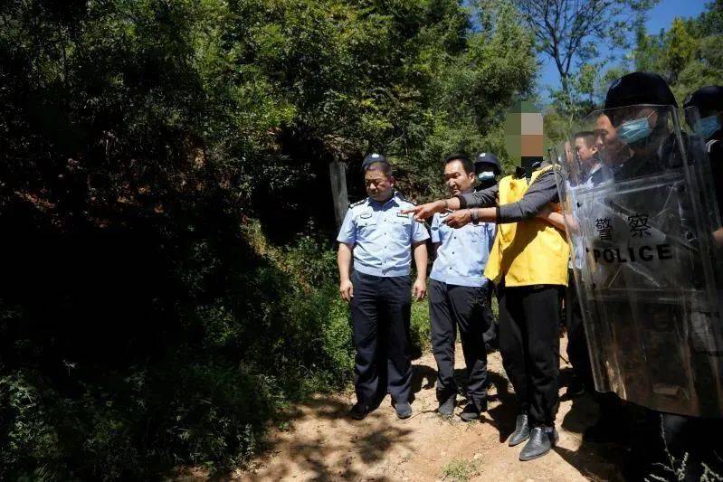 临汾日常温情与意外友情之旅，爱与力量的交织最新报道