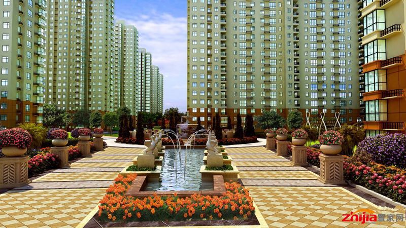 绿朗时光最新动态更新,最新消息一览