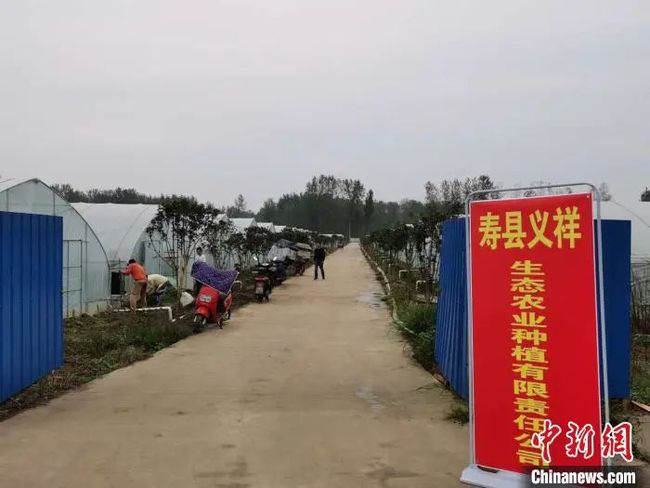 安徽寿县最新新闻报道