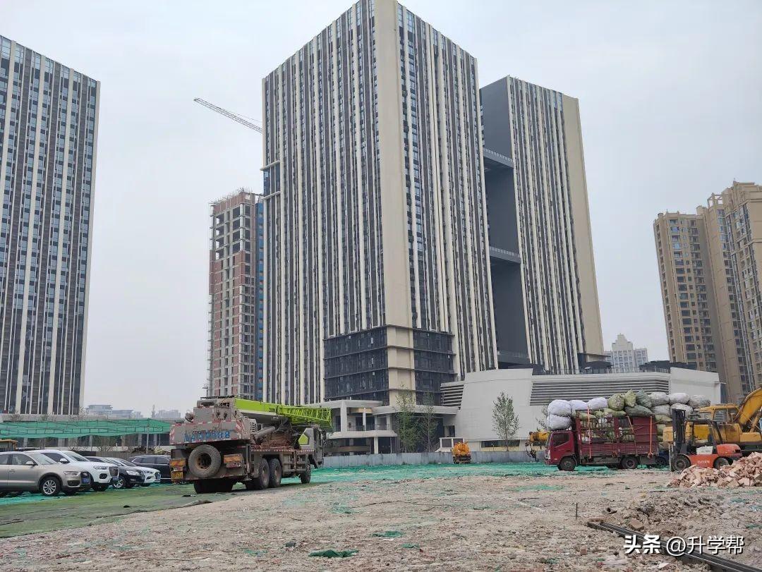 森宇破产背后的自然之旅，找回内心的宁静与希望