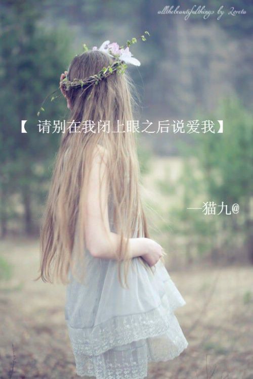 水景设备 第412页