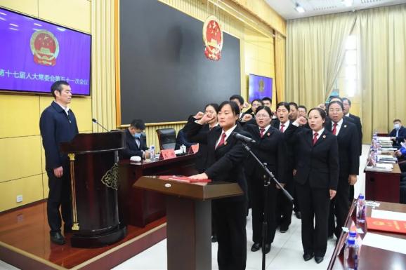 沛县最新人事任命及动态分析