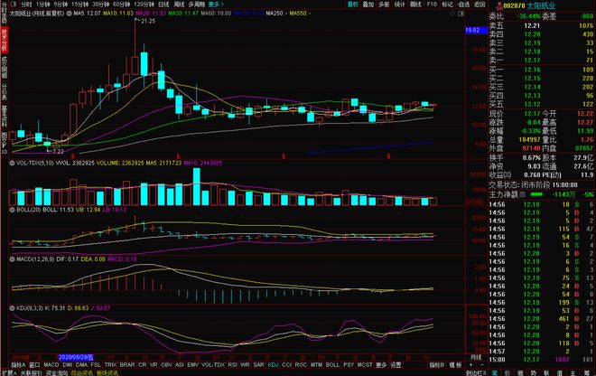 太阳纸业股票最新分析，洞悉变化，把握机遇，自信闪耀股市之星