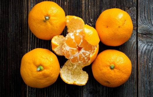 桔子最新报价揭秘，小巷深处的秘密果园