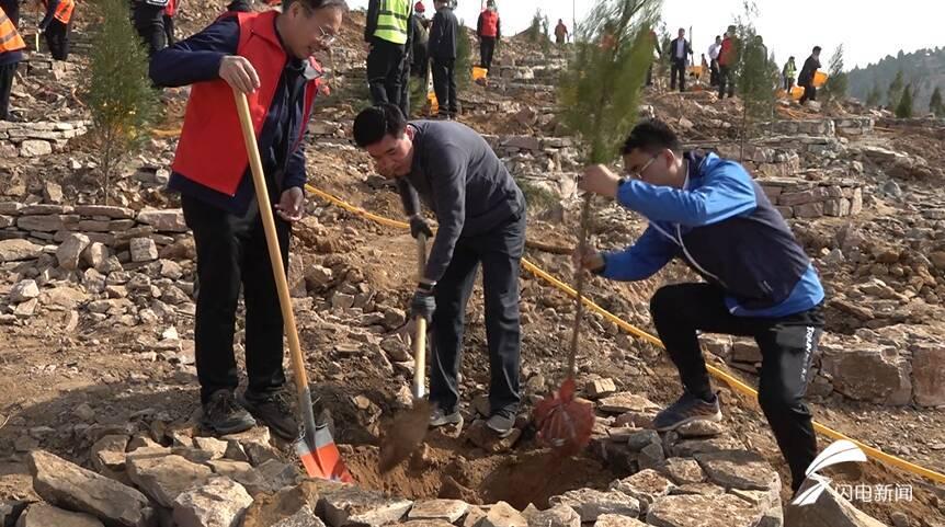 探寻未来宜居之所，2024泗水最新楼盘介绍