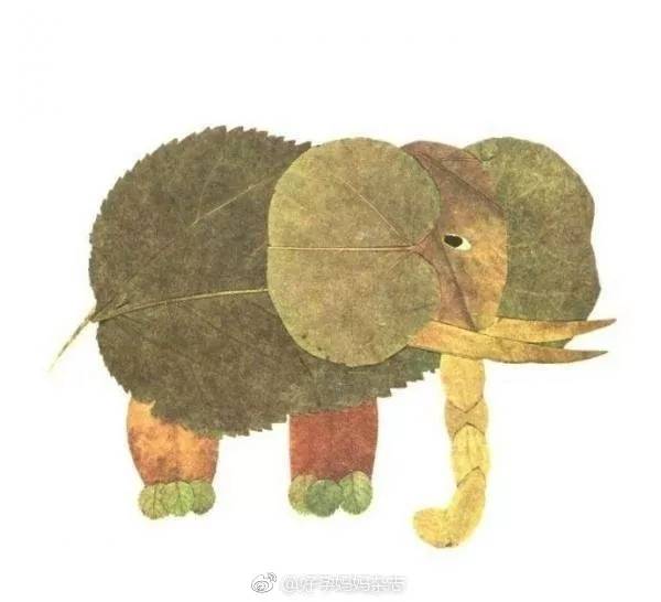 鸿蒙树最新作品及其观点论述解析