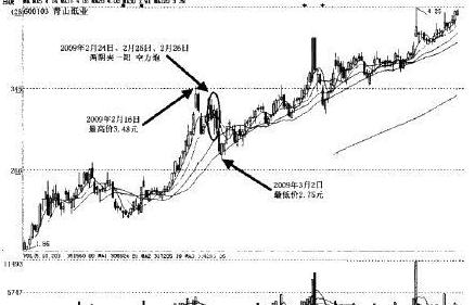 禾嘉股份最新传闻揭秘，深度分析与观点阐述