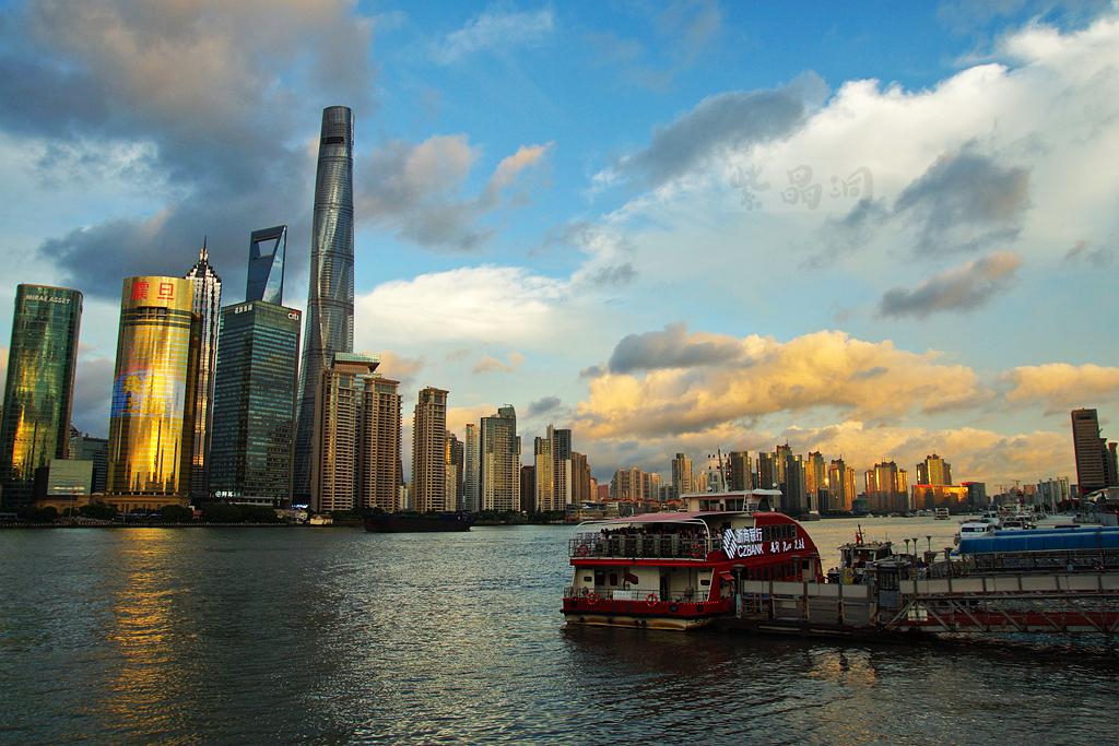 最新搜狐会员兑换码获取与观点论述分享