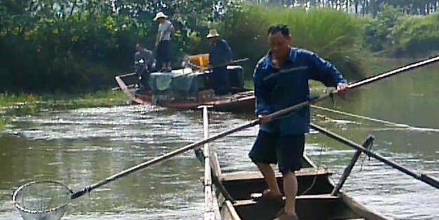 探秘深海,最新海上电鱼视频揭示小巷中的隐秘世界