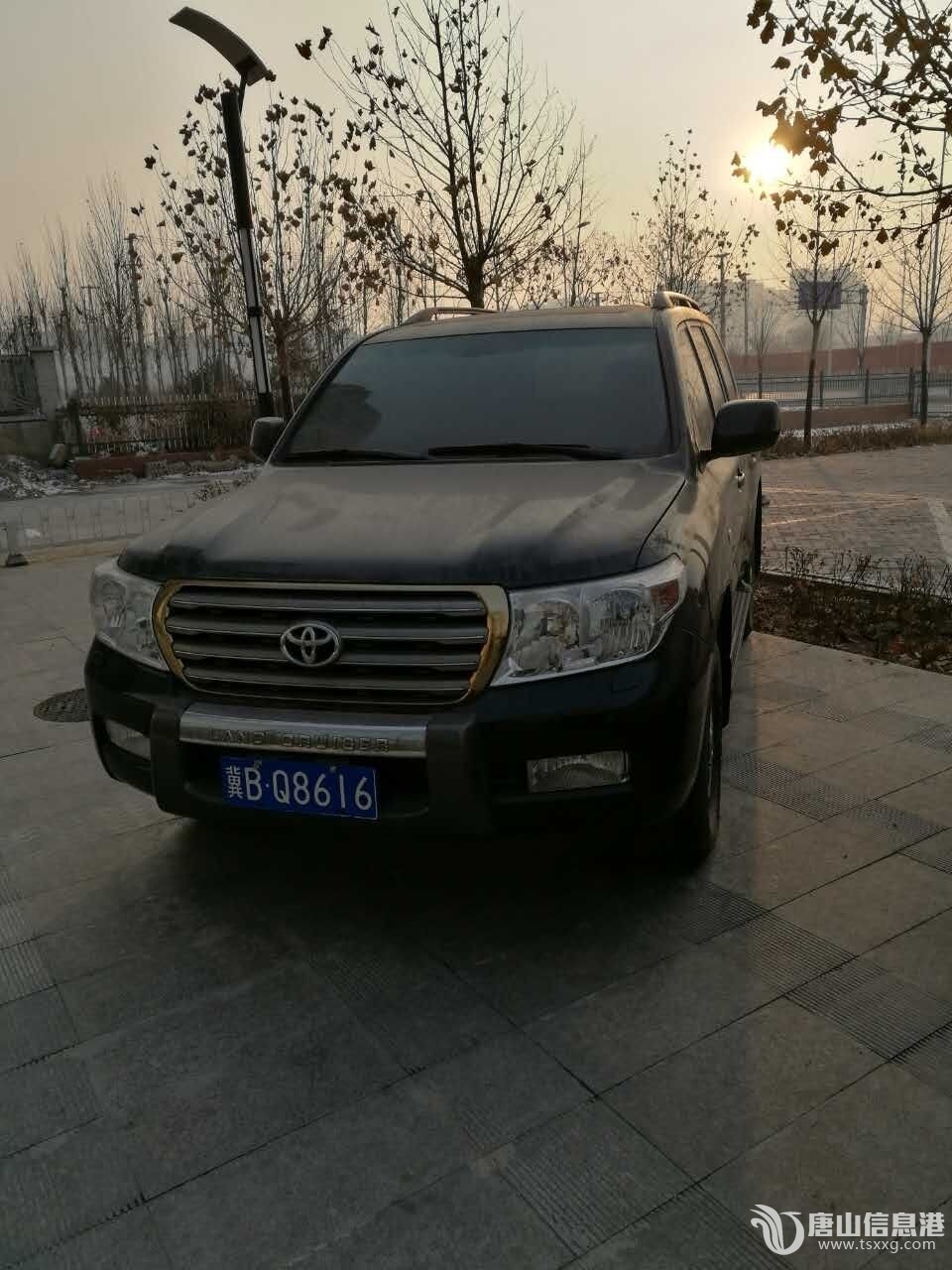 唐山公车拍卖最新动态及其观点分析，影响与启示