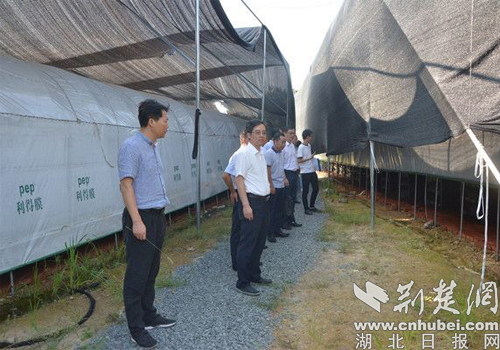 广水陈巷最新新闻，学习变化的力量与自信成就感的融合之路