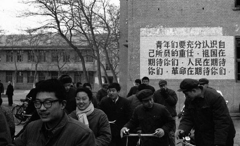 眉山东坡岛最新动态更新，最新发展资讯揭秘