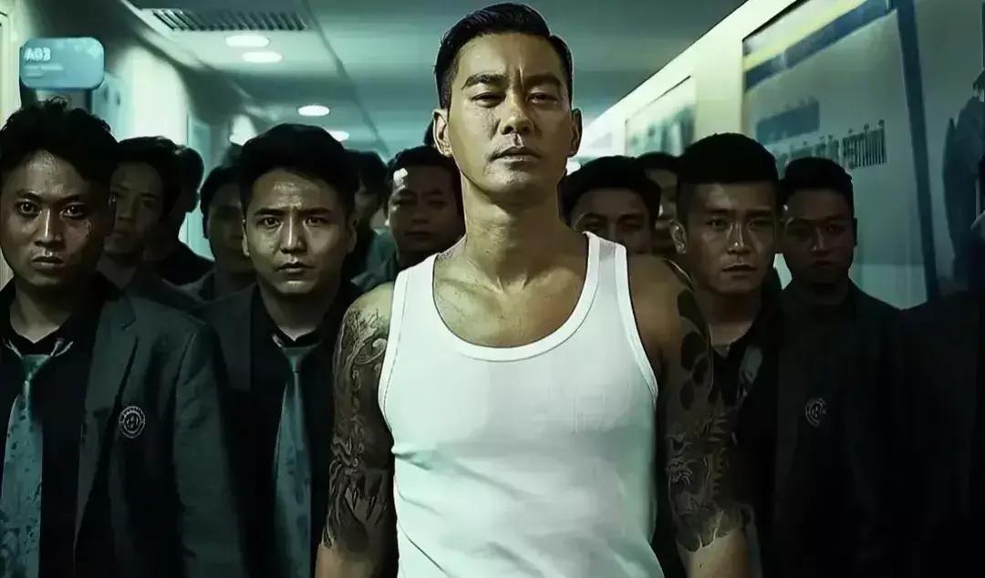 2024内地最新电视剧概览与探讨