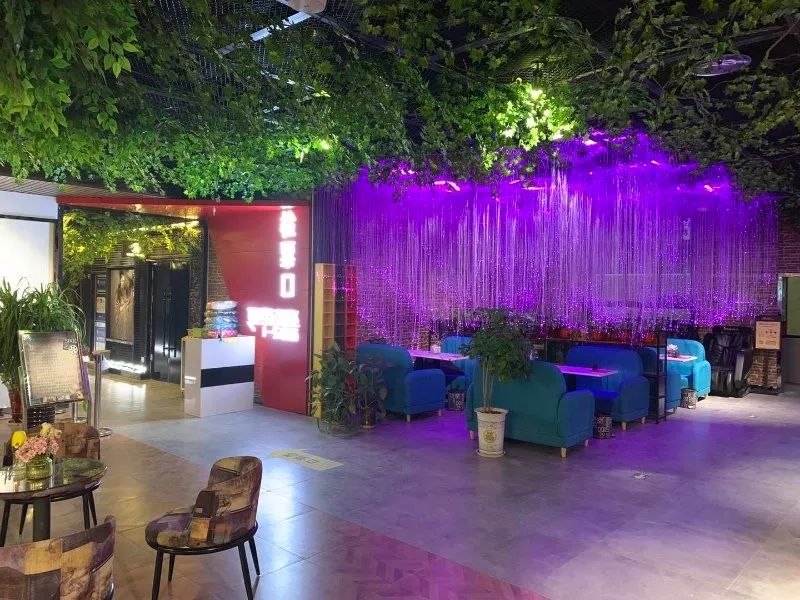 白水莎莎影城最新影讯，电影、友情与一生难忘的记忆