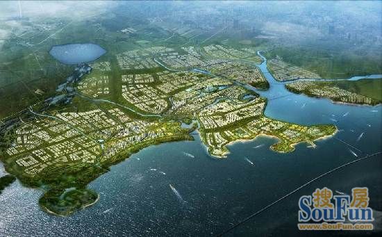 红岛河套最新规划与温馨日常，奇遇与情感纽带的交织