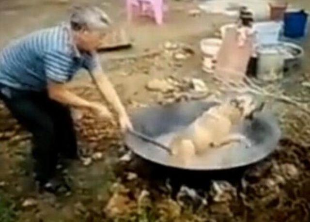 最新虐打老人视频背后的故事与反思