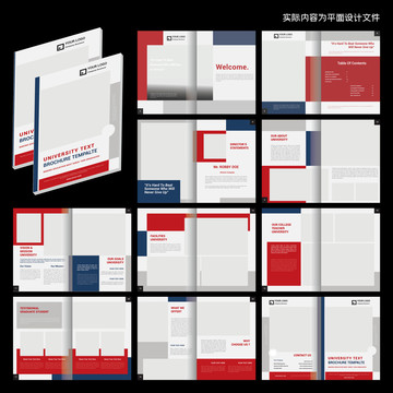 酷酷熊最新小册子，自信与成就感的魔法之旅探索