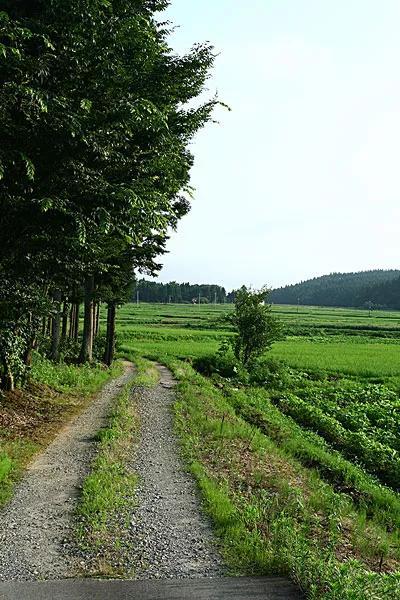 乡村懒人系统最新章节,乡村懒人系统最新章节，探索智能化乡村生活的革新之路