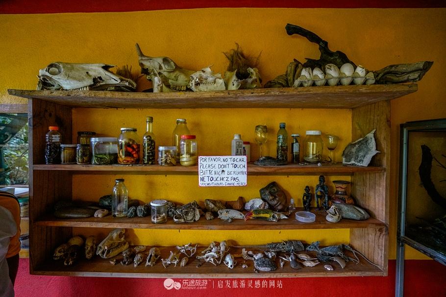 老黎多开最新版的探索与应用前景