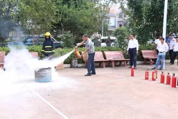 墨江县最新干部公示，自然美景背后的探索之旅