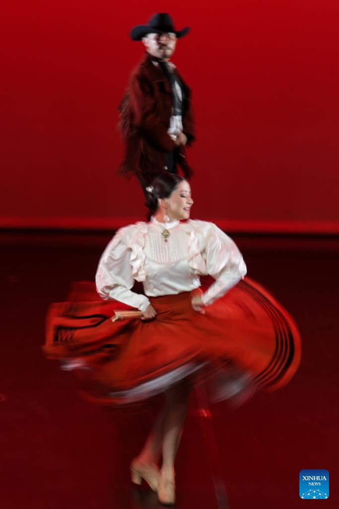 2024年最新步子舞,跃动人生的舞步，2024年最新步子舞，自信与成就感的旋律