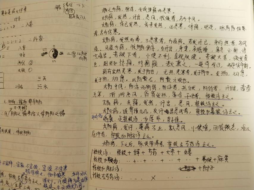 候仓海商路笔记引领科技潮流,重塑生活体验新篇章