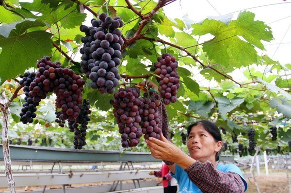 呦呦网站最新地址解析,观点阐述与深度分析
