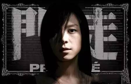 门徒最新，深度解读现代师徒关系的佳作