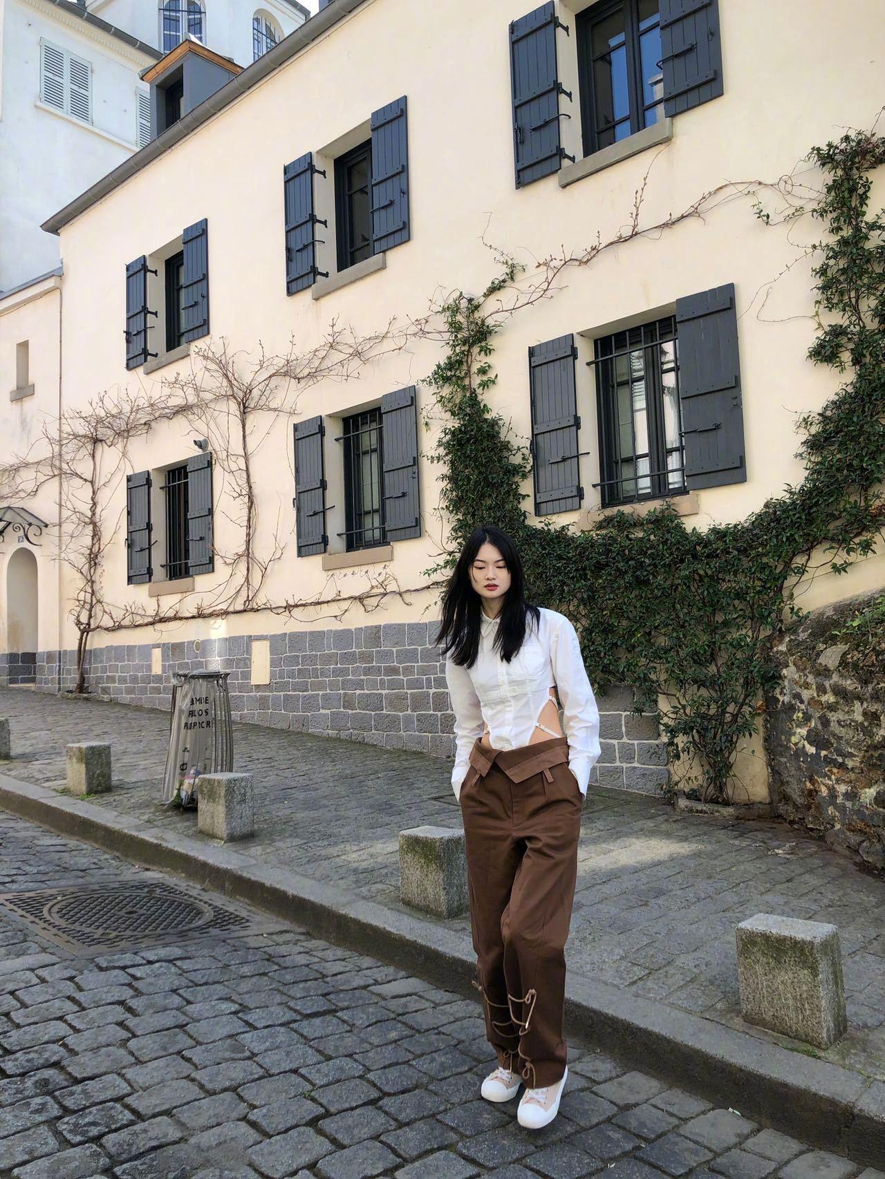 野猫最新日常故事揭秘