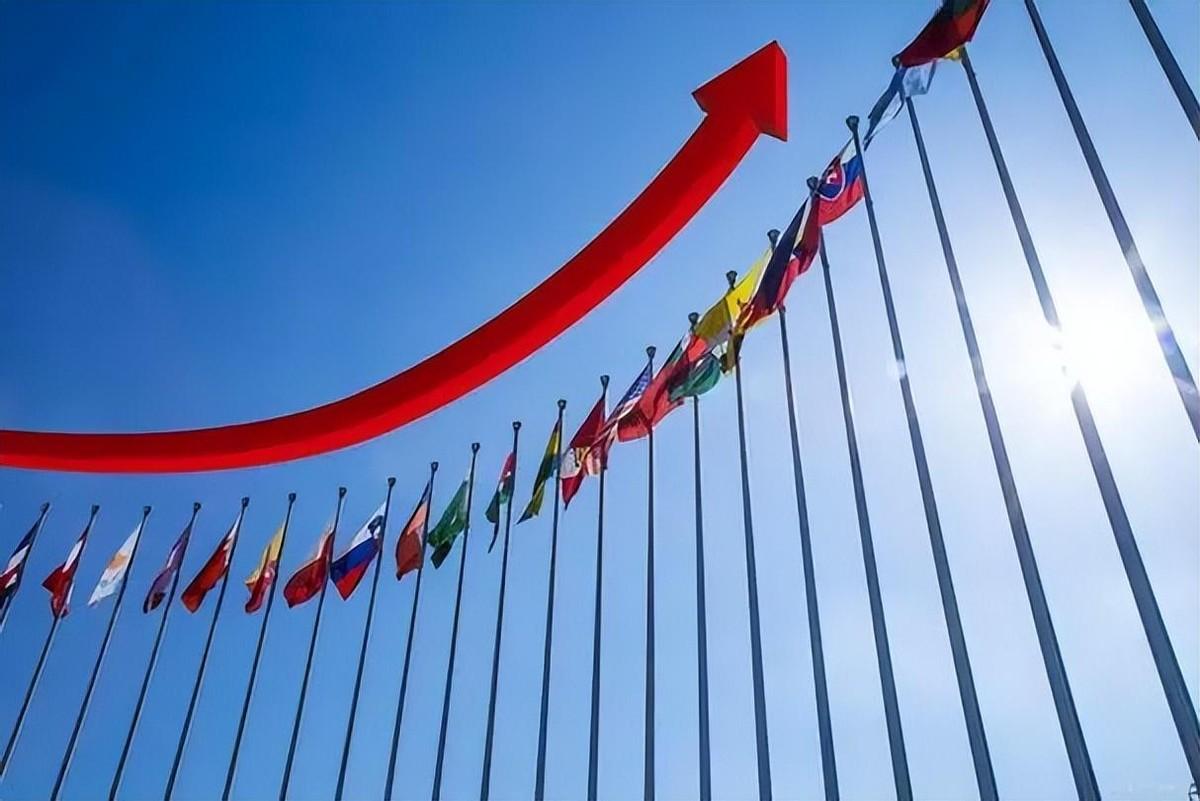 小巷深处的特色小店揭秘，最新钢管选购指南