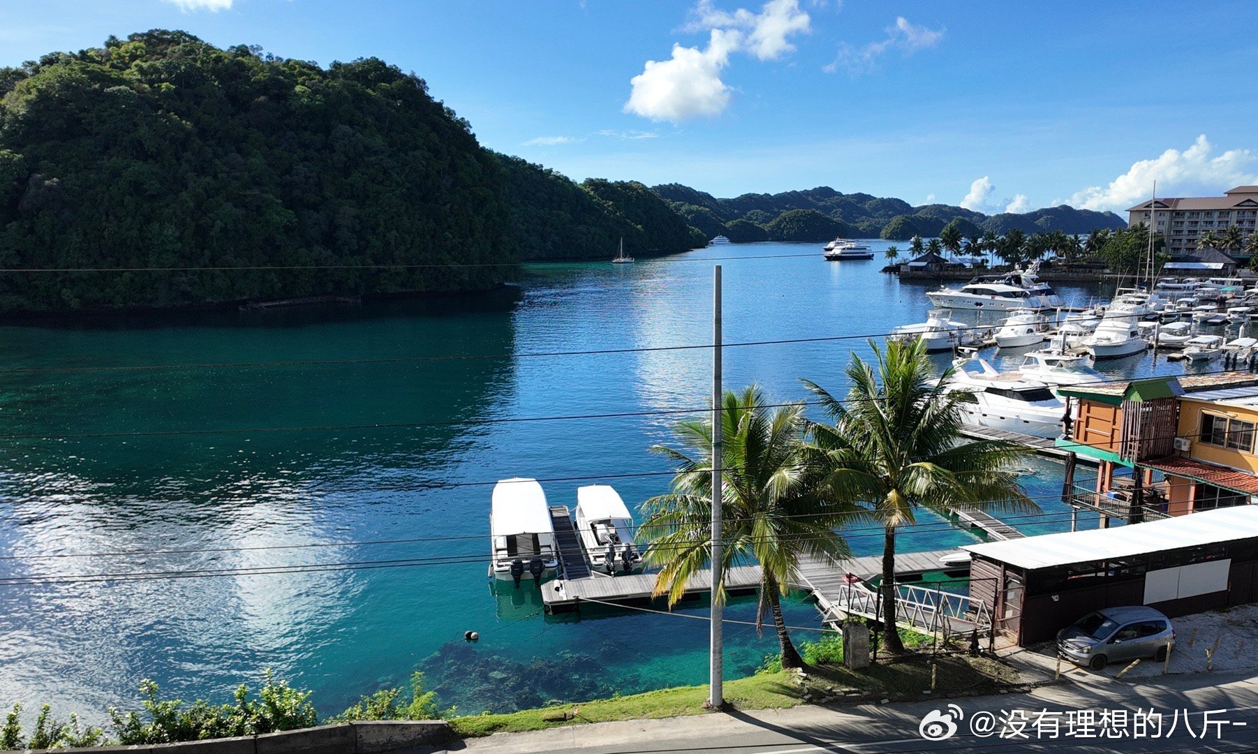帕劳的欢乐日常，友情与爱的温馨之旅