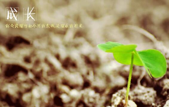 科技巅峰之作引领未来生活新潮流，最新成长趋势报告出炉