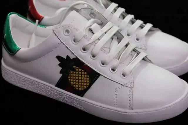 小白最新，全新视角探索未知领域