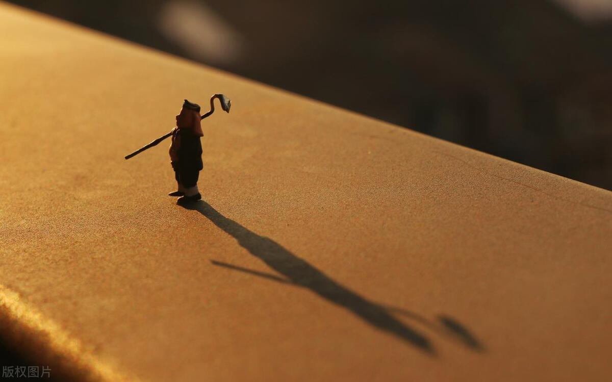 凡人最新，心灵与自然的奇妙探险之旅