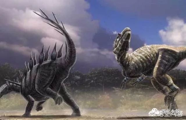 灭绝最新趋势下的学习变革，自信闪耀，无限可能