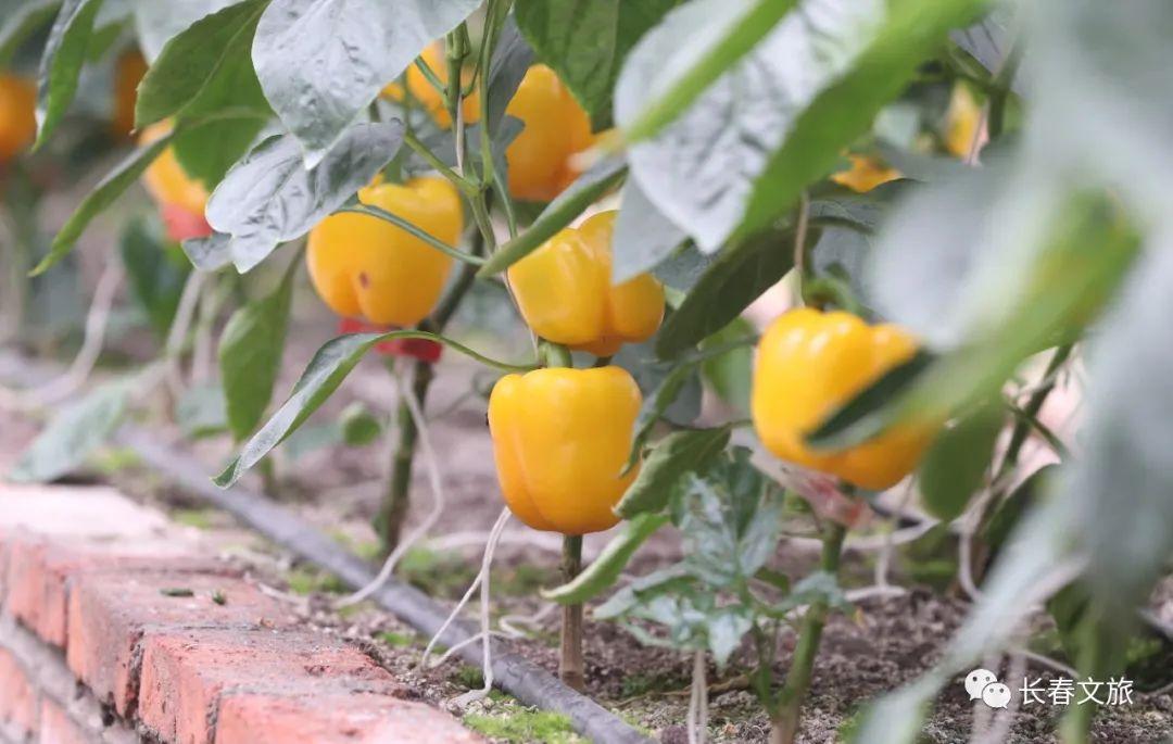 水景设备 第371页