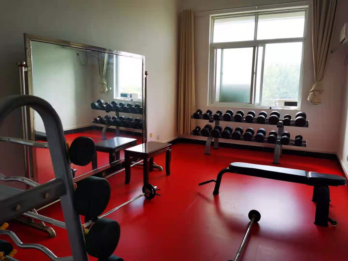 川汇区最新动态，时代背景下的蓬勃发展