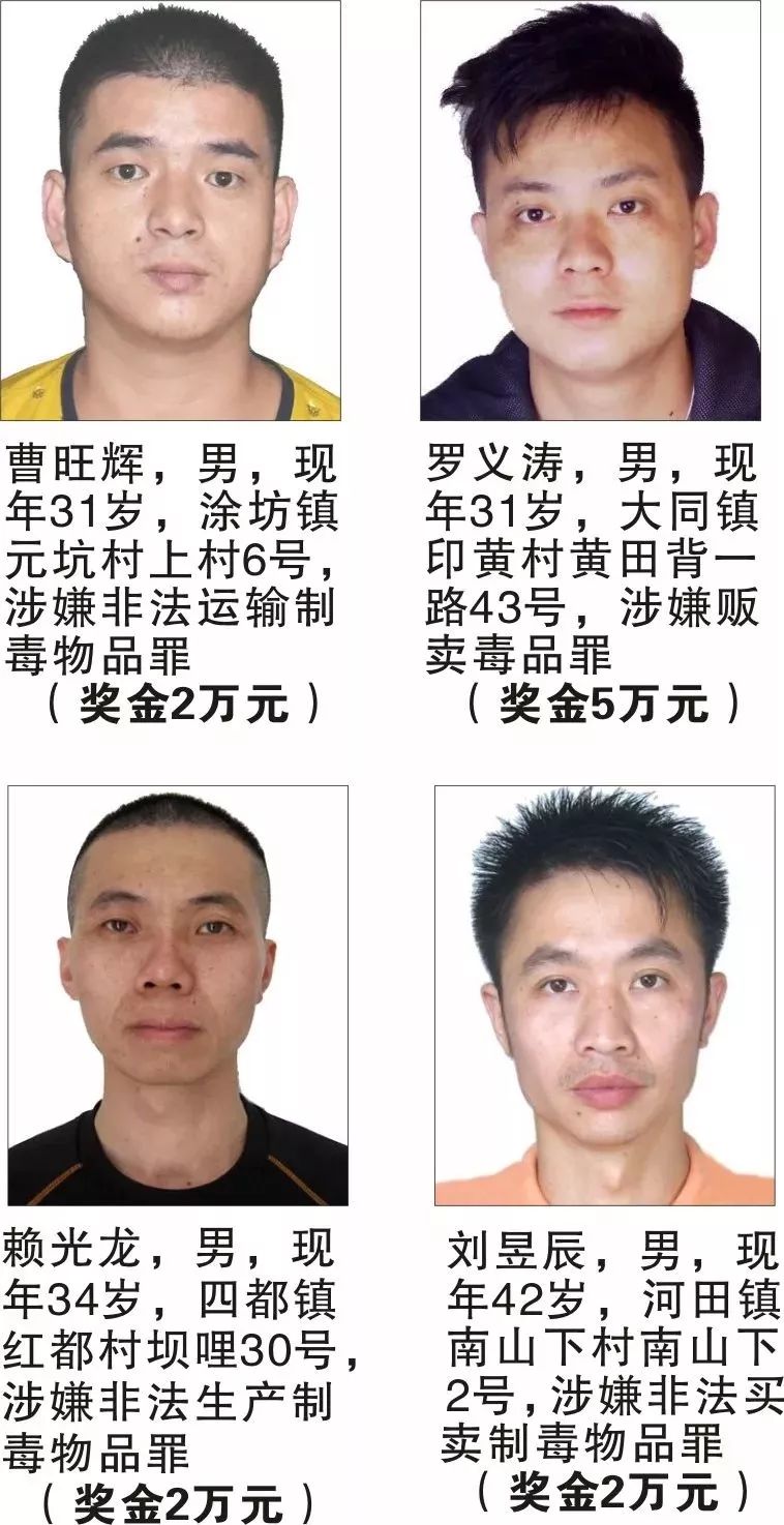 最新缉拿，寻找内心平静的探险之旅