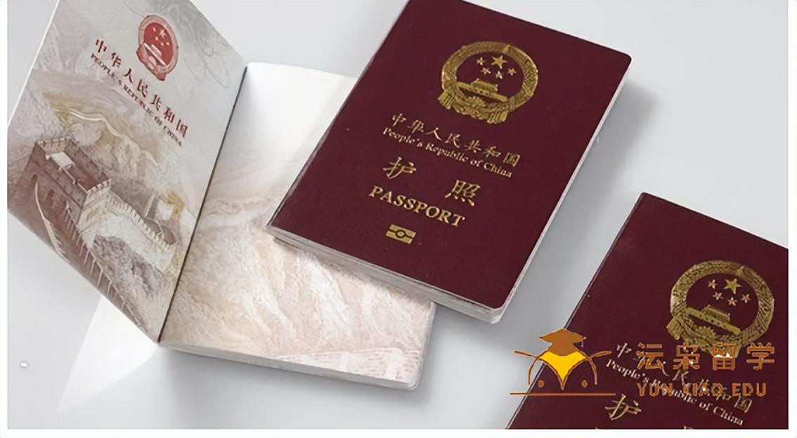 最新本本，家的温馨纽带与友情的奇妙旅程探索