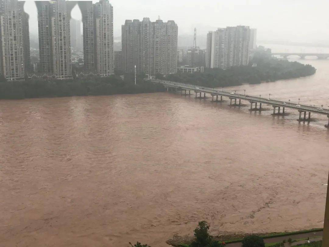 洪峰的最新动态与时代影响，时代的见证者。