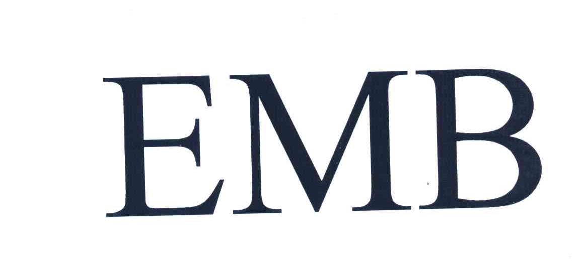 最新EMB观点深度探讨与未来发展趋势分析