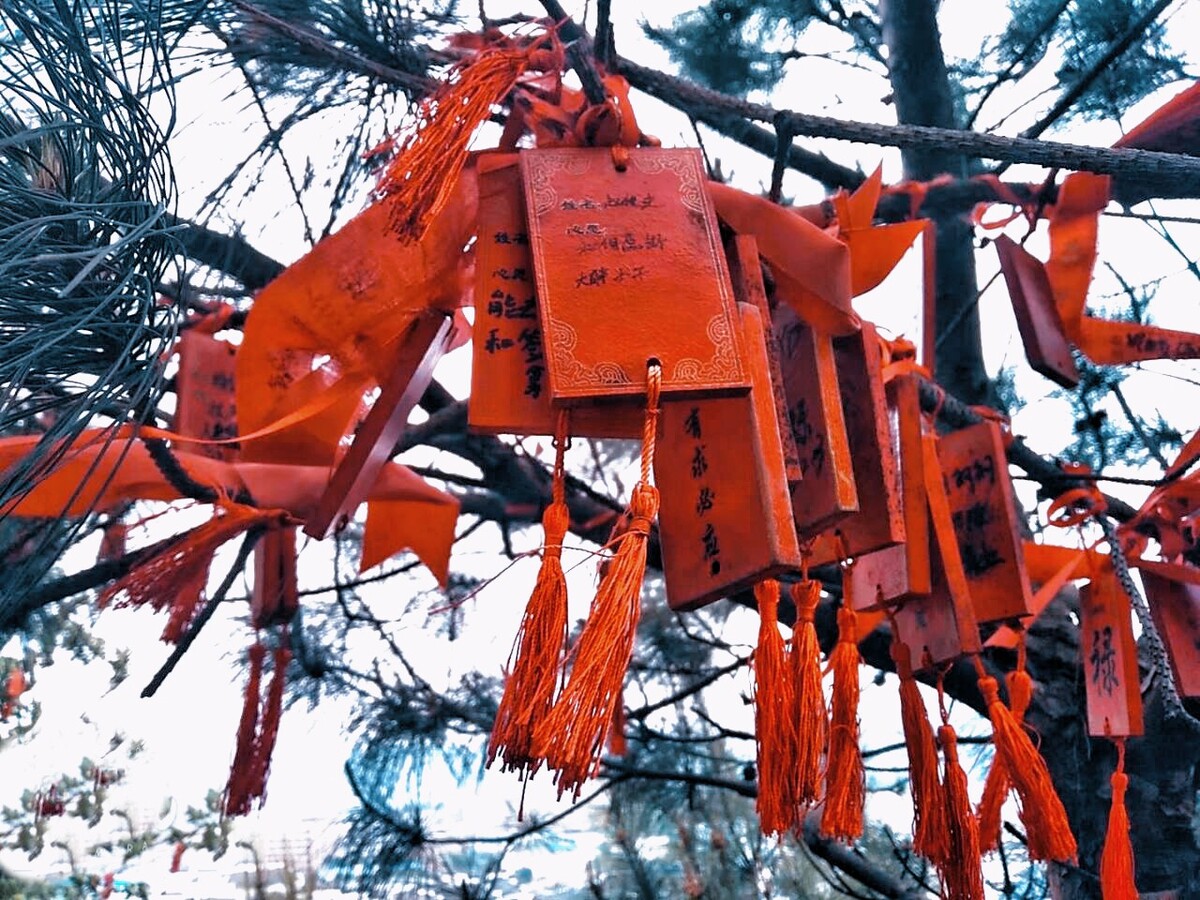小巷深处的神秘小店，最新祈愿的奇迹之地