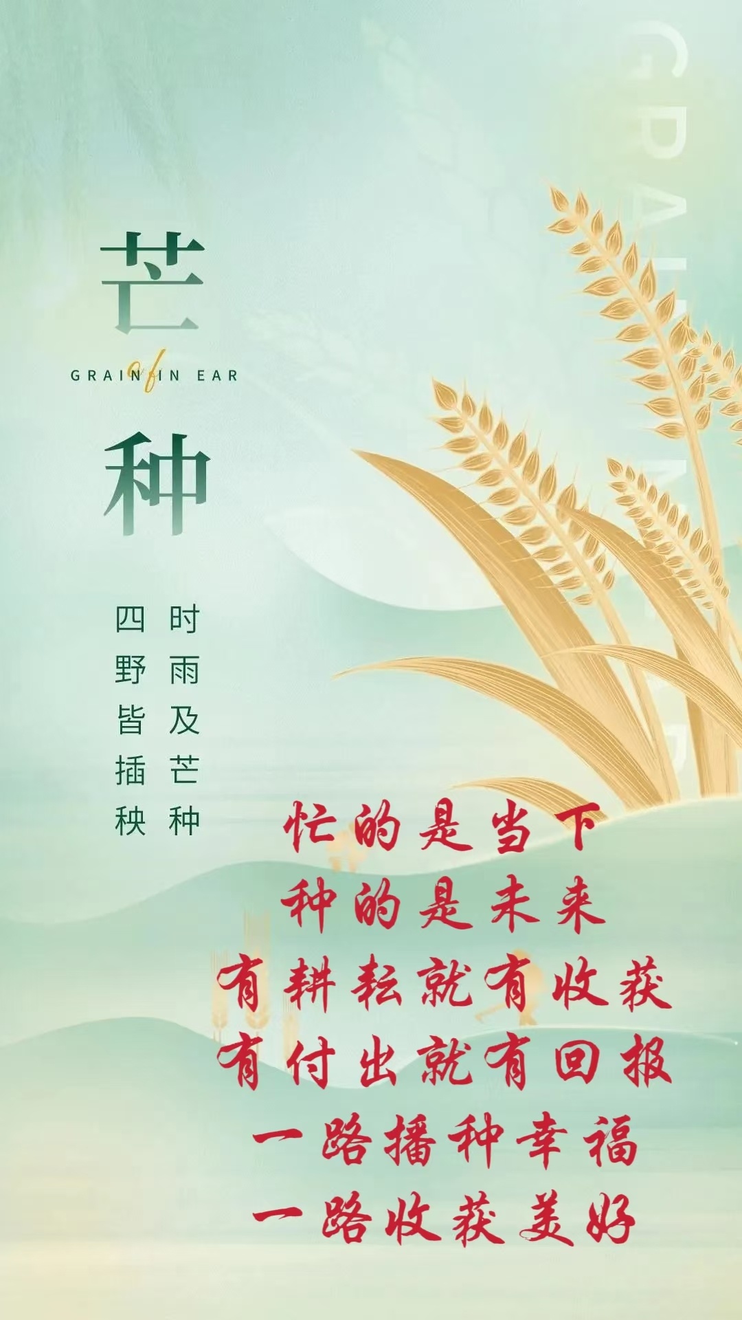 芒种最新详细步骤指南,如何完成任务或学习新技能?