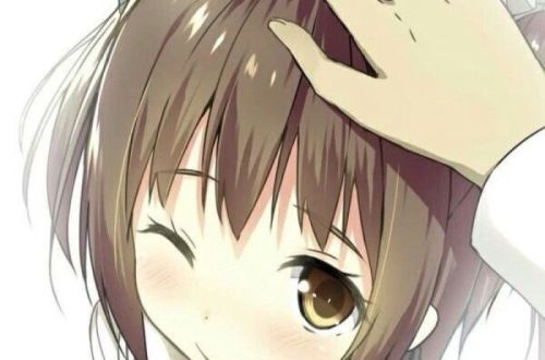 巷弄深处的独特小店,最新摸头等你来探索!