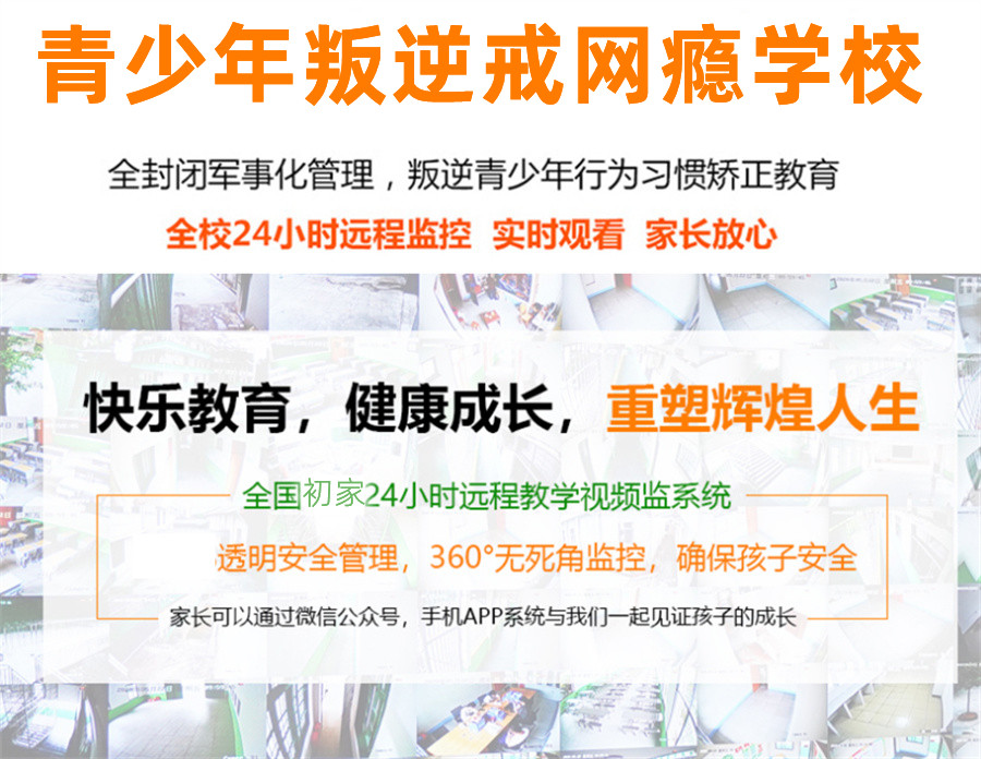 戒网瘾最新动态，背景进展及其影响分析