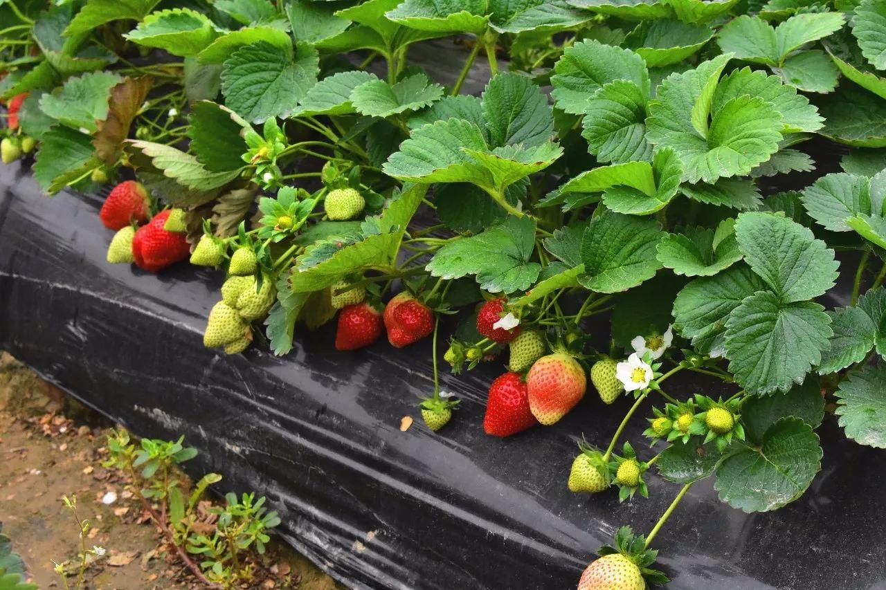 最新时光，与自然美景的轻松邅行